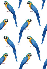 Naklejka premium Seamless Pattern with hand-drawn Parrot, digitally colored