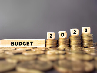 Financial Concept - budget 2022 text background. Stock photo.