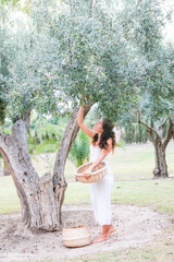 Oliven ernten und traditionell vorbereiten