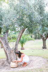 Oliven ernten und traditionell vorbereiten