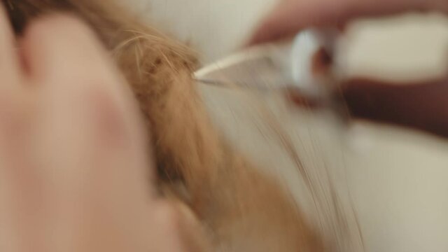 Taglio capelli dal parrucchiere per uomo