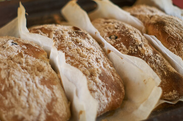 Homemade ciabatta baked on parchment close-up.  Healthy baked goods background