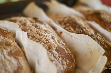 Homemade ciabatta baked on parchment close-up.  Healthy baked goods background