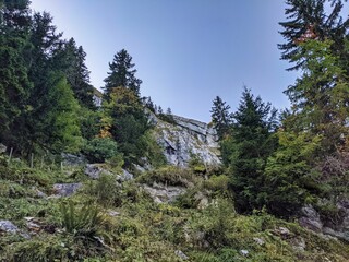 beautiful landscape in Switzerland. Hike to the Silberen mountain. Large forests in the canton of Glarus.Colorful nature
