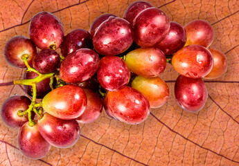 Close up of bunch of red grapes on leaf.