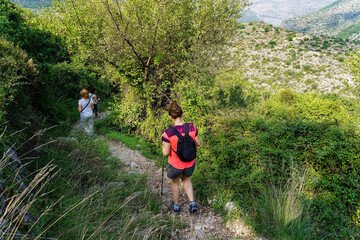 People hiking on the forest path in the mountain.