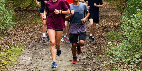 Group of runners running on a dirt path covered with leaves in a park