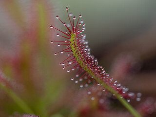 Nature, so beautiful