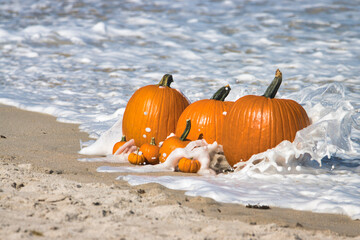 Pumpkins in the waves, on the sand, at the beach