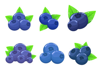 Blueberry vector design illustration isolated on white background