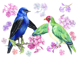 Watercolor card with colorful Asian birds and flowers. White background.
