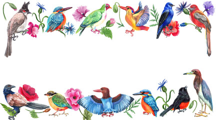 Fototapeta premium Watercolor colorful frame with wild birds and flowers. White background.