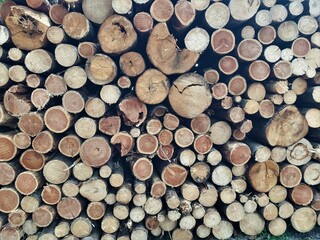 Abstract background of pile of tree trunks or logs