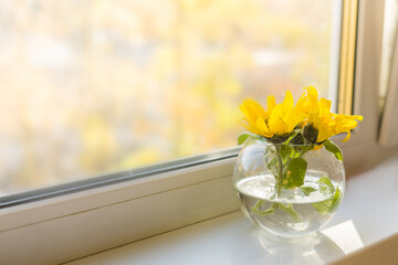 Bouquet of sunflowers on the window at home. concept of natural and decoration.