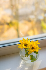 Fototapeta premium Bouquet of sunflowers on the window at home. concept of natural and decoration.