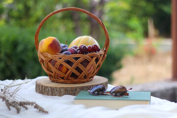 Vintage basket with various fruit, book, sunglasses and lavender flowers on a picnic basket. Selective focus.