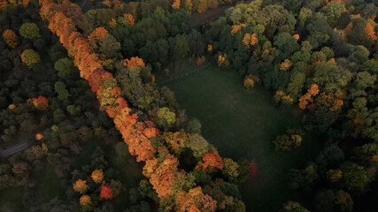 Fototapeta na wymiar Flight over the autumn park. Trees with yellow autumn leaves are visible. Aerial photography.