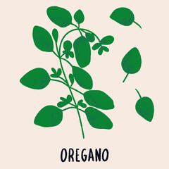 Oregano branch and leaves. Herb isolated illustration in hand drawn flat style. Food magazine illustration