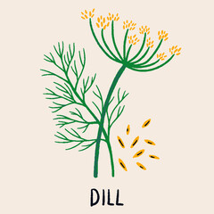 Dill branch, flower and seeds. Herb isolated vector illustration in flat style