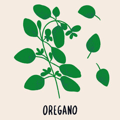 Oregano branch and leaves. Herb isolated vector illustration in hand drawn flat style. Food magazine illustration