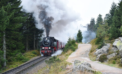 Harzer Schmalspurbahn fährt auf den Brocken im Harz 