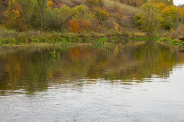 trees with yellow leaves around the lake