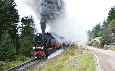Fototapeta na wymiar Harzer Schmalspurbahn fährt auf den Brocken im Harz 