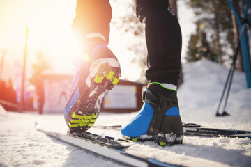 Athlete is preparing for cross country skiing in winter, fastening boots with sunlight