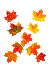 Letter X of colorful autumnal maple leaves on white background. Top view, flat lay