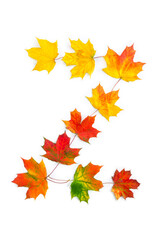 Naklejka na ściany i meble Letter Z of colorful autumnal maple leaves on white background. Top view, flat lay