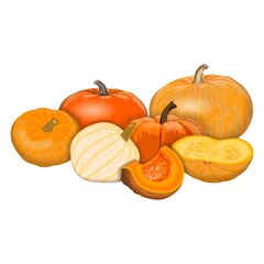 Set of white, yellow and orange pumpkins for banners, flyers, posters, cards. Half and quarter pumpkin. Halloween. October. Autumn. Fresh vegetables. Vector illustration isolated on white background
