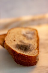 Close-up view of moldy bread. Moldy bread isolated on a white background. Food waste. Selective focus.