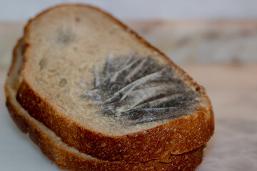 Close-up view of moldy bread. Moldy bread isolated on a white background. Food waste. Selective focus.