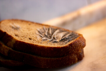 Close-up view of moldy bread. Moldy bread isolated on a white background. Food waste. Selective focus.