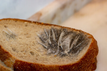 Close-up view of moldy bread. Moldy bread isolated on a white background. Food waste. Selective focus.