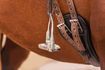 Close-up of stirrup and saddle girth of a saddle on a horseback