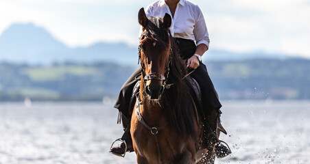 A rider in a riding skirt on a P.R.E. horse in a lake