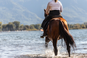 A rider in a riding skirt on a P.R.E. horse in a lake