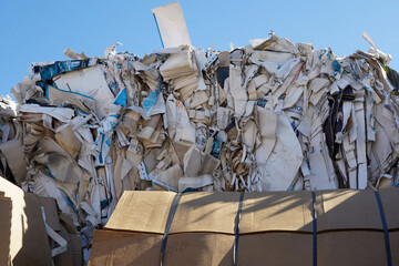 Photo of a large amount of waste paper and carton