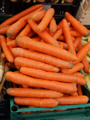 orange edible tasty roots of carrot vegetable