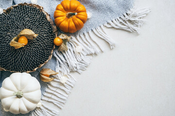 Bright and cozy fall vibes flat lay od decorative pumpkins, sunflowers, physales and plaid.