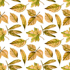 Watercolor autumn yellow pattern set of illustrated nature fall leaves

