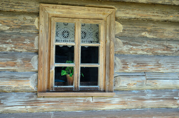 a flower in the window of a village house