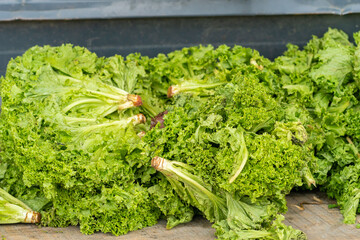 Close-up of green lettuce leaves on the counter at the market