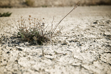 Drought land concept