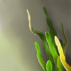 cactus