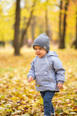 A small child runs in the autumn in the park during the day on fallen yellow leaves