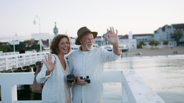 Happy senior couple vawing outdoors on pier by sea.