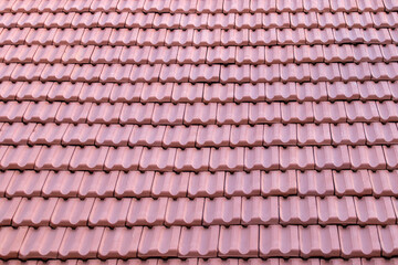 Terracotta tiles on the house rooftop.