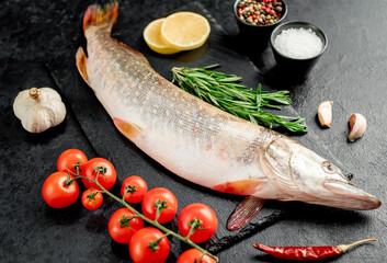 raw pike fish on stone background